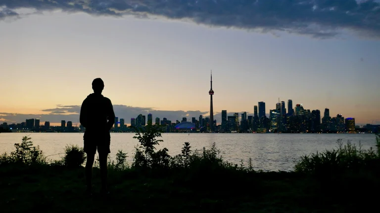 Silhouette of man overlooking city skyline at dusk