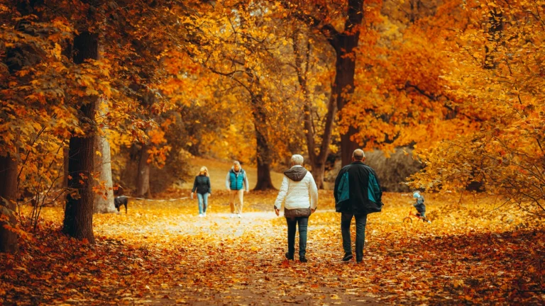 Best Places to See Fall Foliage: Peak Fall Colour & Where to See It