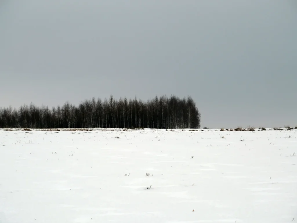 Snowy field under a pale sky showing less sunlight in winter